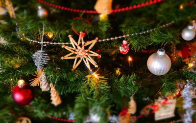 Deux bûches de Noël gourmandes pour vos fêtes de fin d’année