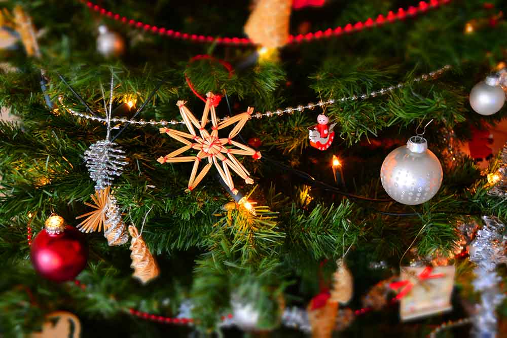 Deux bûches de Noël gourmandes pour vos fêtes de fin d’année